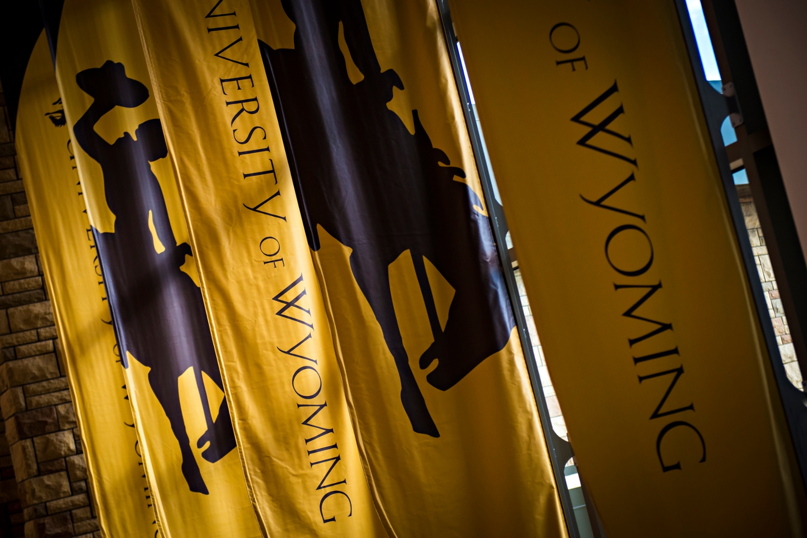 University of Wyoming Flags