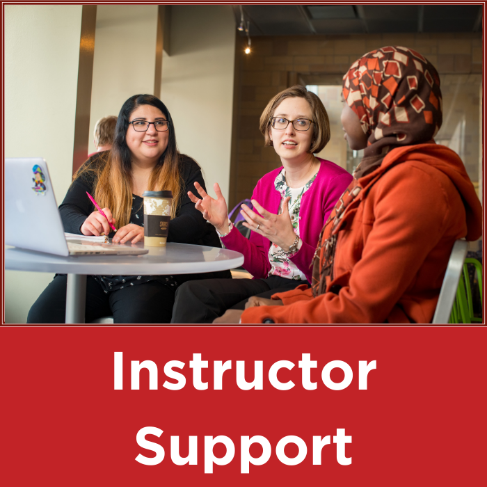 decorative button with text that reads "instructor Support"