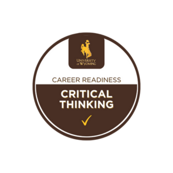 critical thinking badge