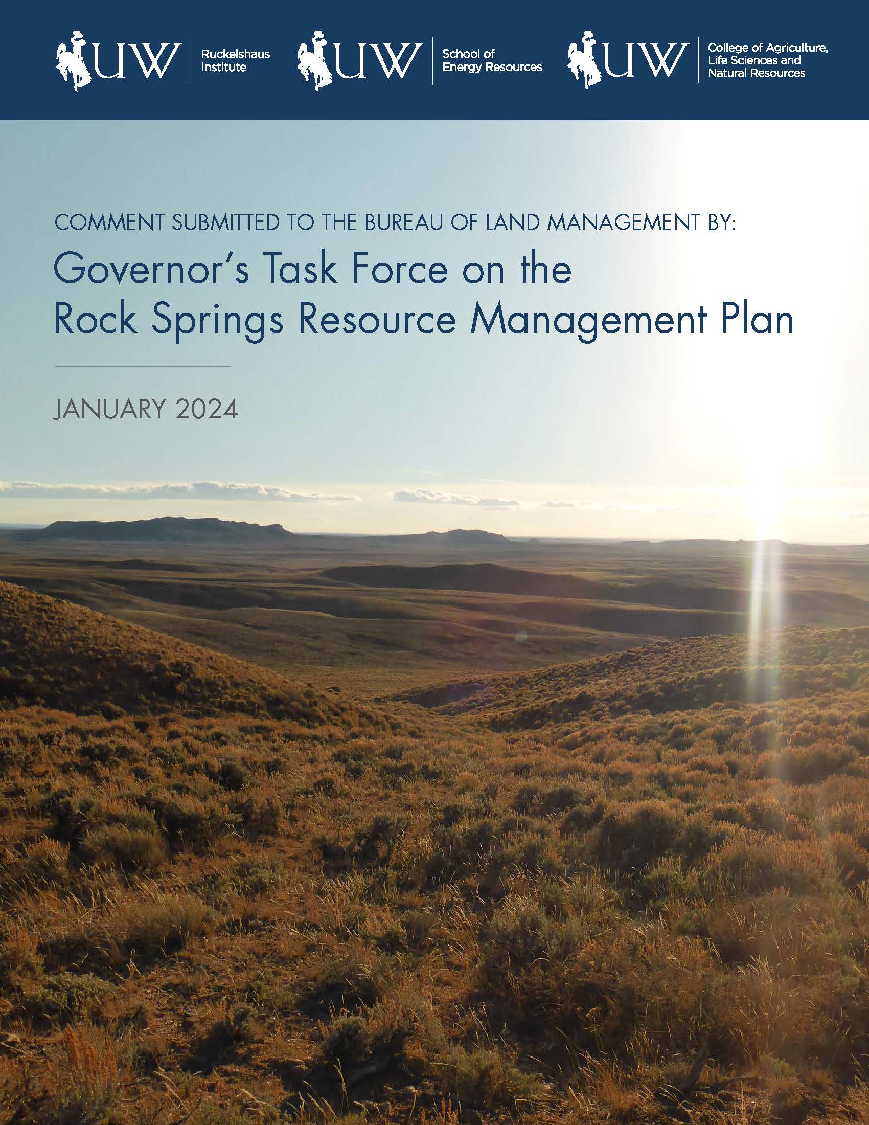 The cover of the Rock Springs RMP Task Force report 
