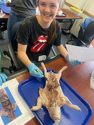 young woman with a partially dissected pig