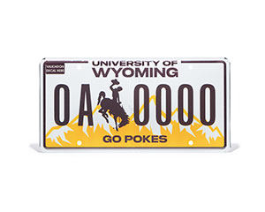 image of new license plate