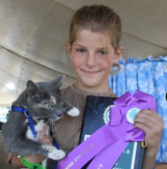 youth competing in Cat Show