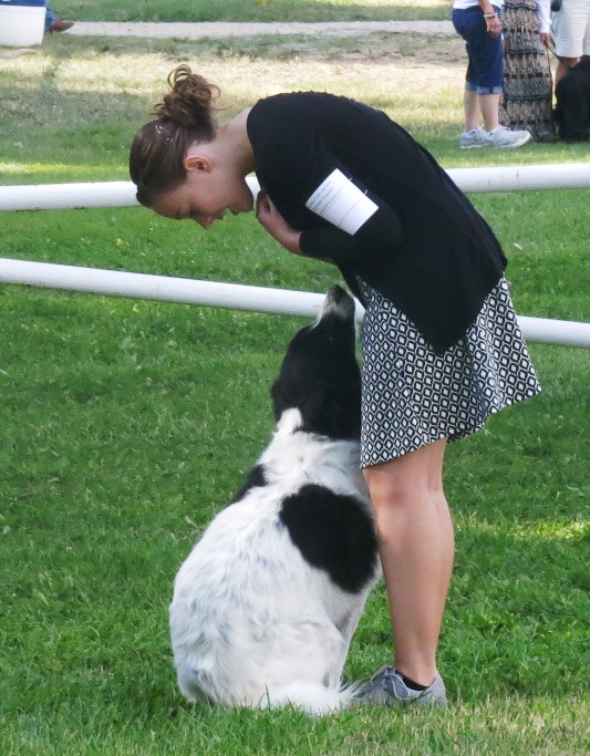 youth competing in Dog Show