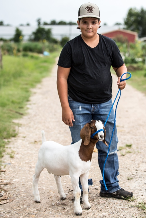 boy and goat