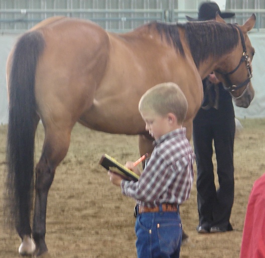 boy judging horse