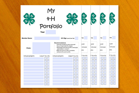 Member Portfolios pages on a table