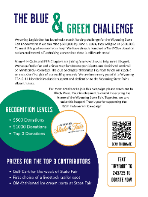 flyer for the Blue & Green Challenge