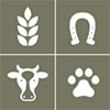 Animal Science