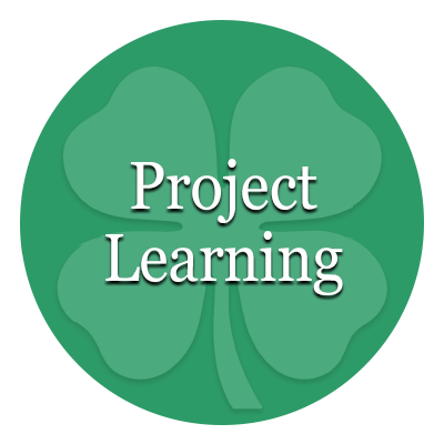 Project Learning