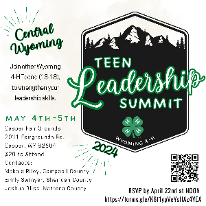 Central Wyoming Teen Leadership Summit