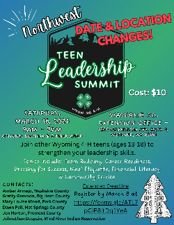 flyer for Northwest teen leadership summit 2024