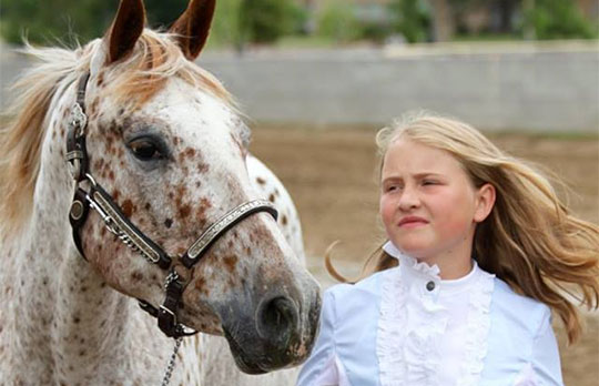 Horse Camp