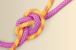 Pink and yellow ropes tied together in a knot.
