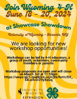 workshop proposal flyer