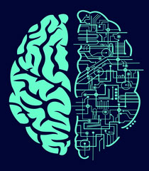 graphic with brain and schematic diagram