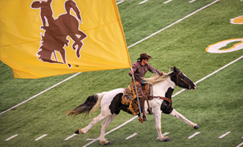person riding horse and carrying a flag on football field sidelines