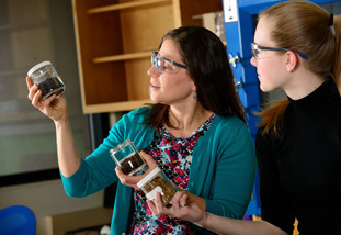 Faculty member conducting research