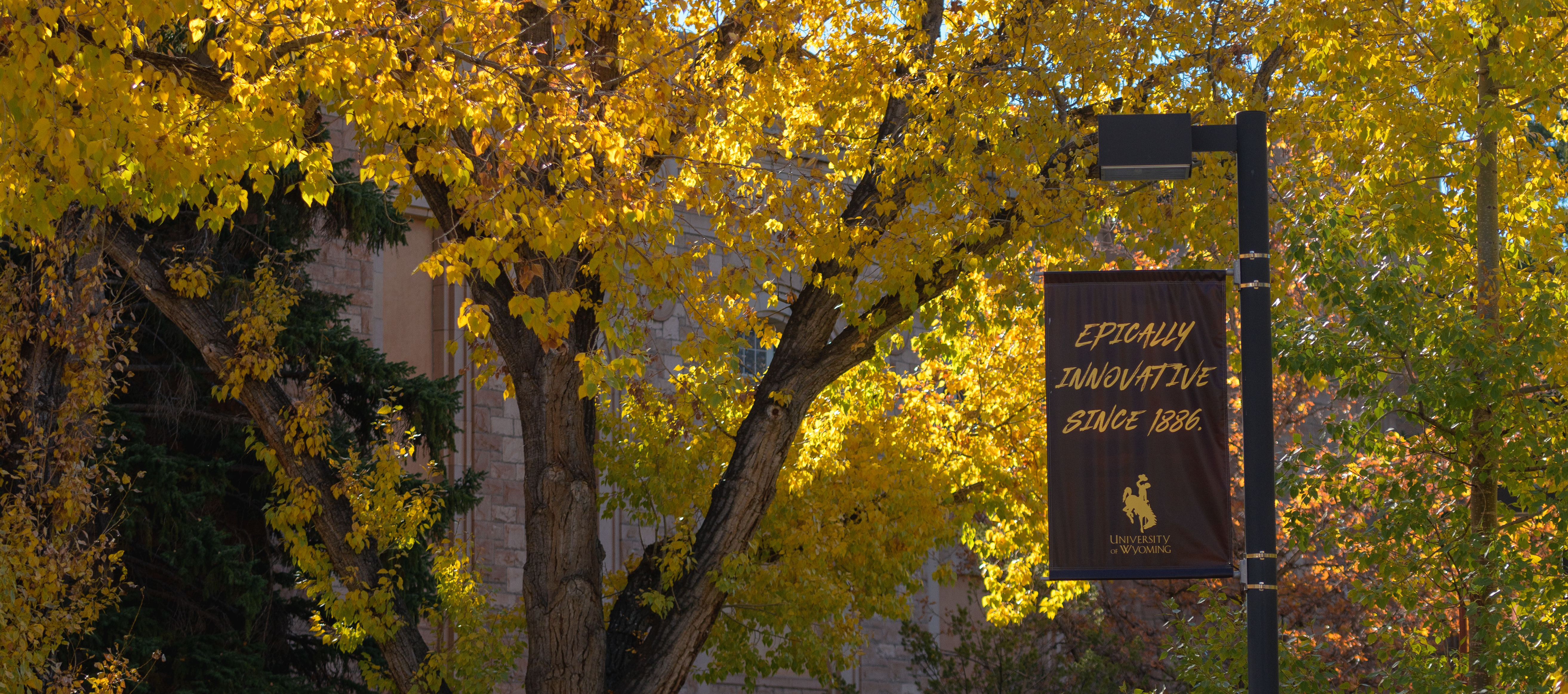 Epically Innovative sign outside UW union