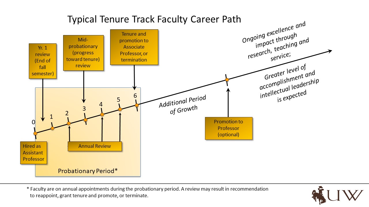 Typical Tenure Track Faculty Career Path - graphic