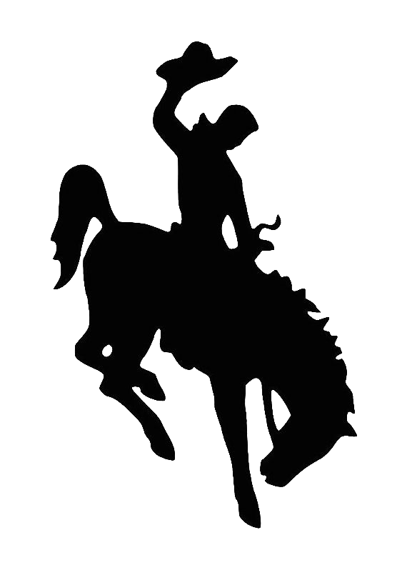 UW's mascot, Steamboat, in black