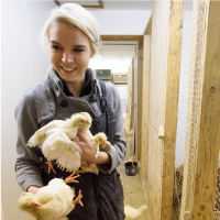 A student holds a chicken during her lab studies.