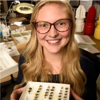 A graduate student displays her insect specimens.