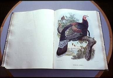 original prints (many hand-colored) in travel, Native American, natural history, and other types of books