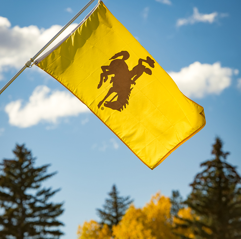 UW gold flag with a brown steamboat flying in front of a blue sky and trees