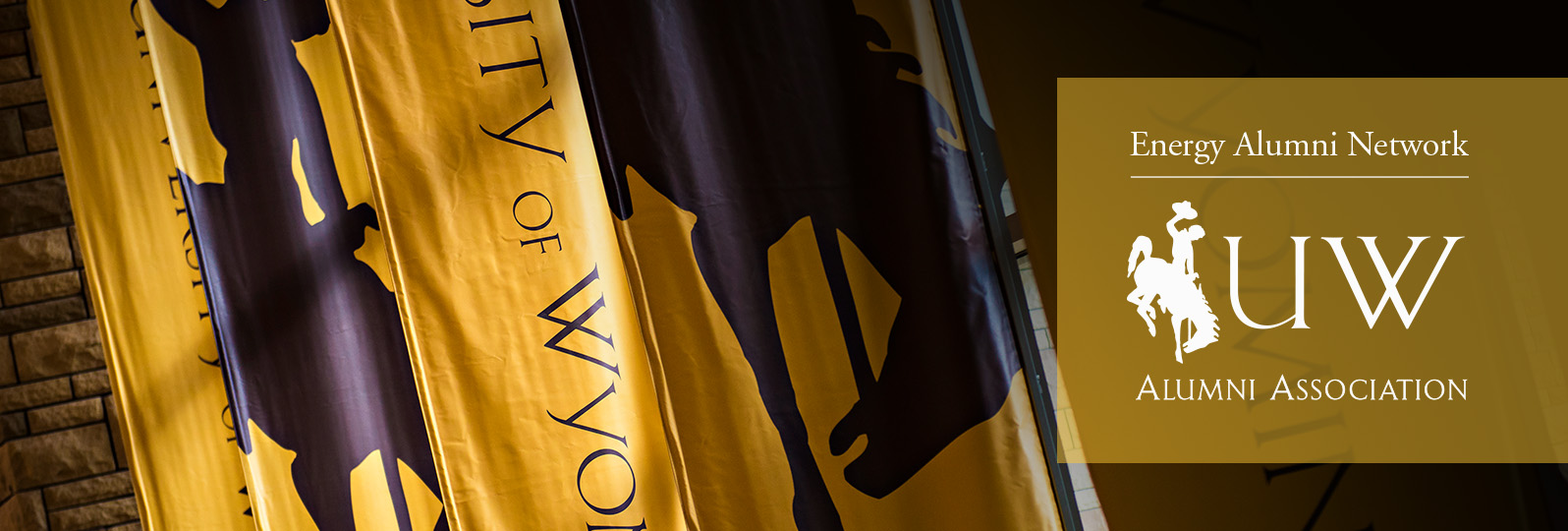 Energy Alumni Network logo over UW flags