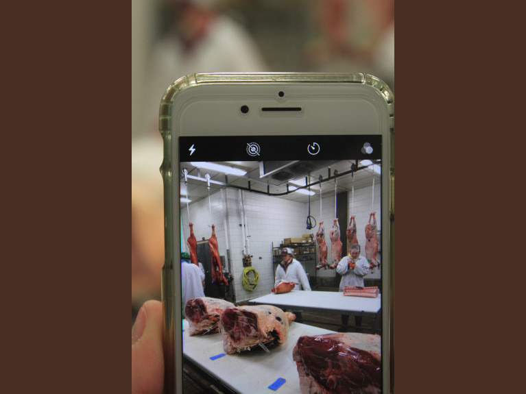 Cell phone image of meat judging practice.