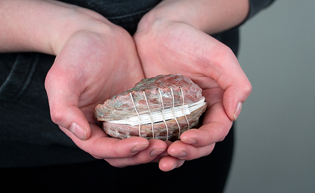person holding seashell book
