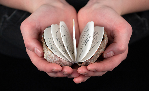 person holding opened seashell book