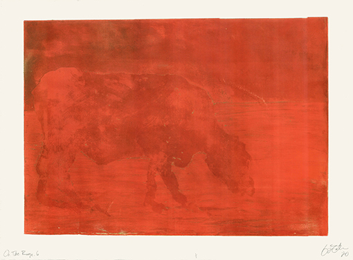 Red print of animal