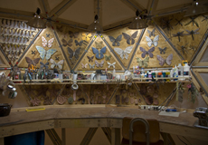 <i>Dome: Detail</i>