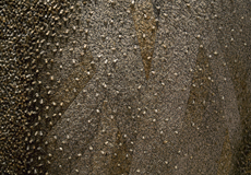 <i>Aggregation 08-AU022</i> (detail)