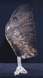 <i>Eagle Wing Fan</i>