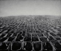 Garden of Selves
