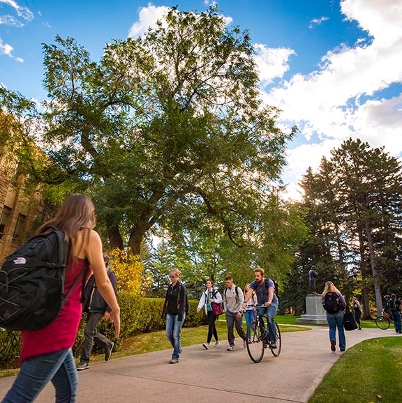 Students Walking and Biking on Campus