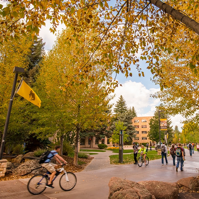 scenic fall view of students on campus