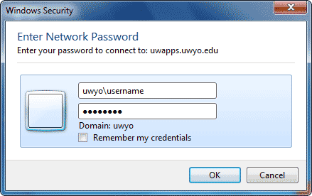 Windows Security window
