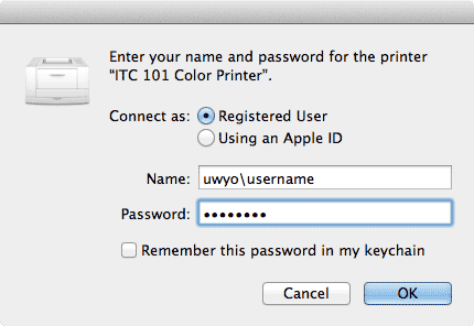 Name/Password authentication window