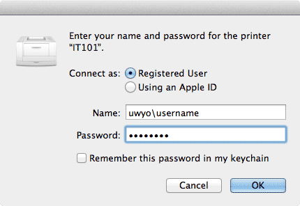 Name/Password authentication window