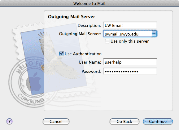 Outgoing Server window