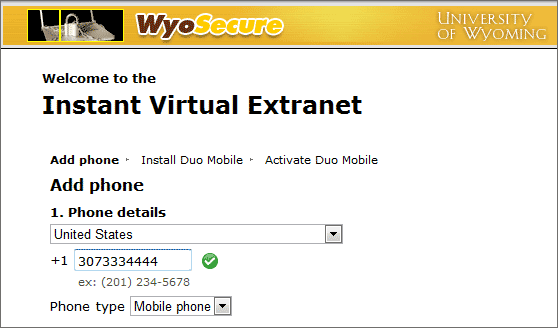 Instant Virtual Extranet browser window