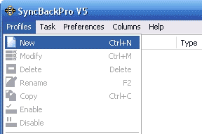 Profiles menu window