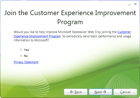 Customer Experience Improvement window
