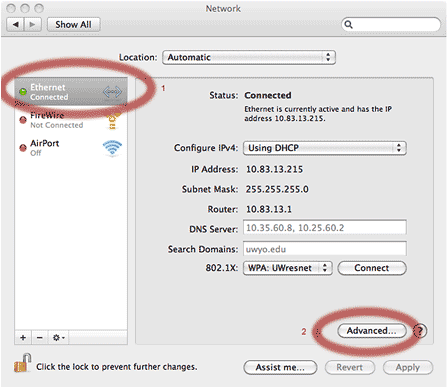 Network window