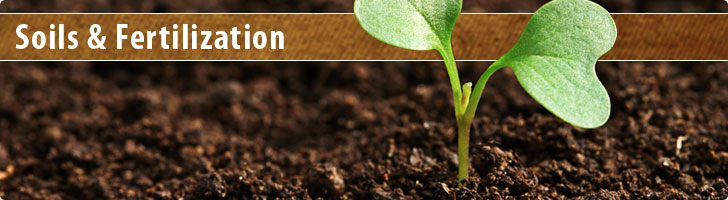 Soils & Fertilization