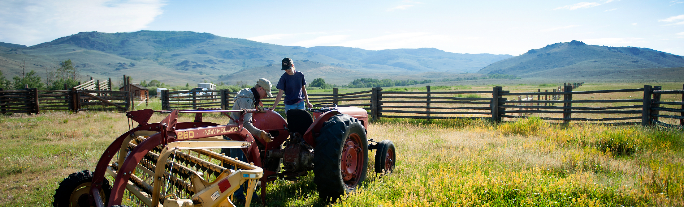 Barnyards Backyards University Of Wyoming